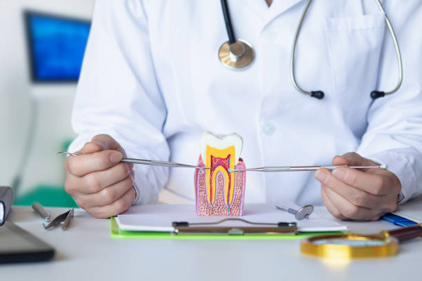 Best Emergency Dental Care for Broken or Chipped Teeth in Wailua, HI